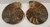 Ammonitenpaar, klein